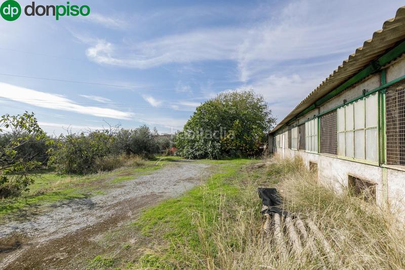 Foto 0e179379-6145-4816-a40d-895035e6d655. Wohngrundstück in Atarfe