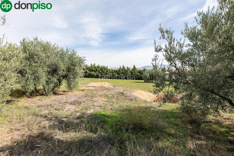 Foto 13bffe92-239d-42d0-bd7d-b5096d4004af. Wohngrundstück in Atarfe