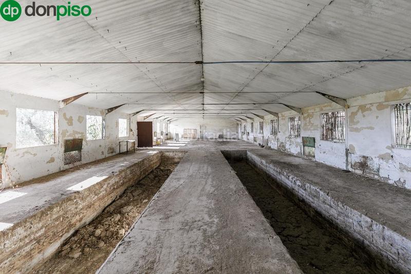 Foto 7883fd6e-6f4e-46ce-8111-b0d8503295f8. Wohngrundstück in Atarfe