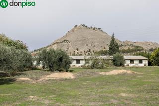 Terrain résidentiel  Camino camino del albarrate. Te falta espacio o lo tuyo es la agricultura?. suelo rustico con