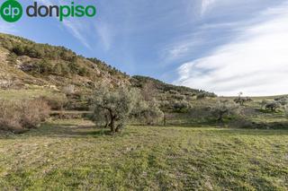Finca rústica  Camino de la umbria. Finca rústica en monachil