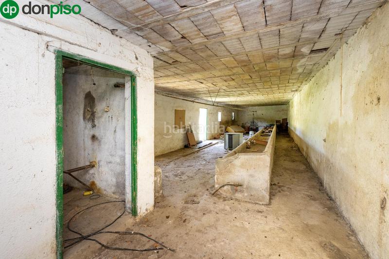 Foto 0cb8a06a-cdcc-48b5-94f1-259d6cae36d3. Rural plot in Cenes de la Vega