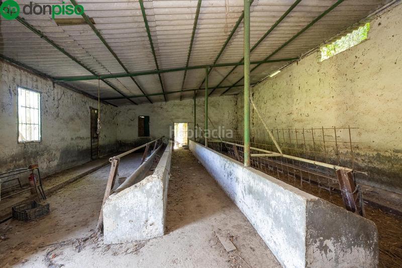 Foto 105b1841-1dab-4fb6-ba9d-326ef6be4b7a. Rural plot in Cenes de la Vega