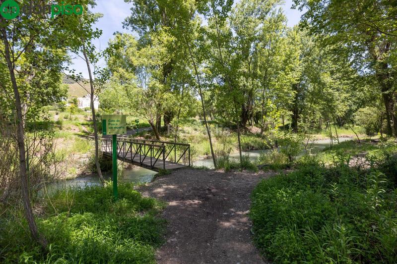 Foto 46e5c2e8-0da2-405e-8015-980a4d48a666. Rural plot in Cenes de la Vega
