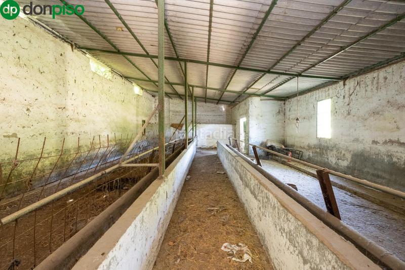 Foto 75bd7752-558d-4ce6-9fb8-028fd8e210a7. Rural plot in Cenes de la Vega