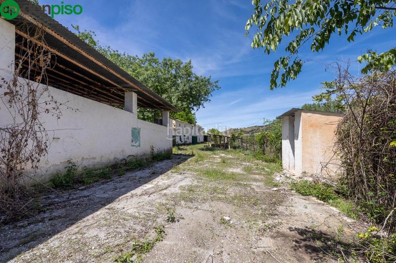 Foto 986cbf6f-3ed0-4a42-b9c9-95f195e54118. Rural plot in Cenes de la Vega