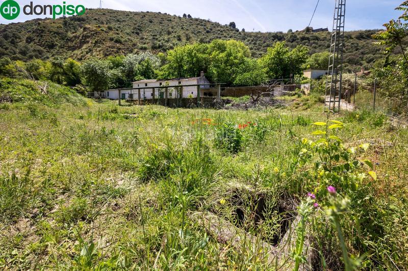 Foto fa8df436-afcf-4ba0-925e-9c234fcb82cb. Rural plot in Cenes de la Vega