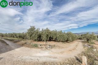 Finca rústica  Calle pago de la sierra. Magnífica parcela cercana a ctra. de urb. el torreón