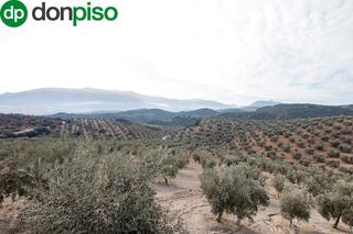 Masia a Cortijo la barragana. Magnifica finca 46 hectáreas de la cual plantada de olivos, apro