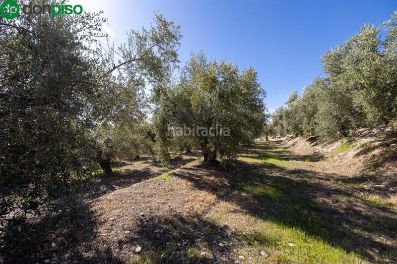 Foto 11cdb94b-d00c-4fd2-9678-83edf73df8d1. Finca rústica a Dúrcal