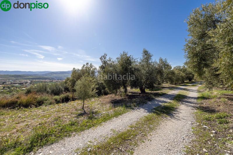 Foto 8666ad18-fb6d-49ed-9205-9163162a6d61. Finca rústica a Dúrcal
