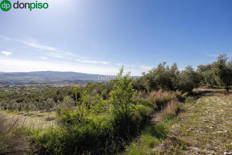 Foto 99a20a61-a57f-426a-a69a-d369aa1393b1. Finca rústica a Dúrcal