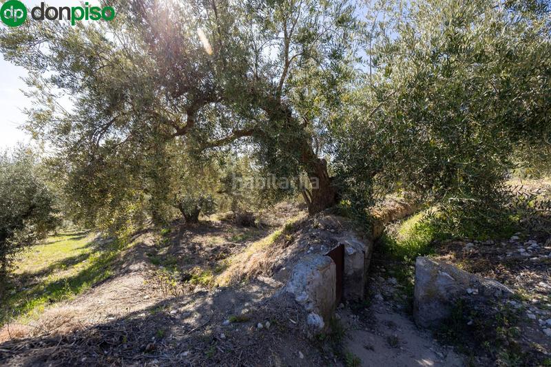 Foto aae2f75f-1f74-4c54-bec4-21fedbac7829. Finca rústica a Dúrcal