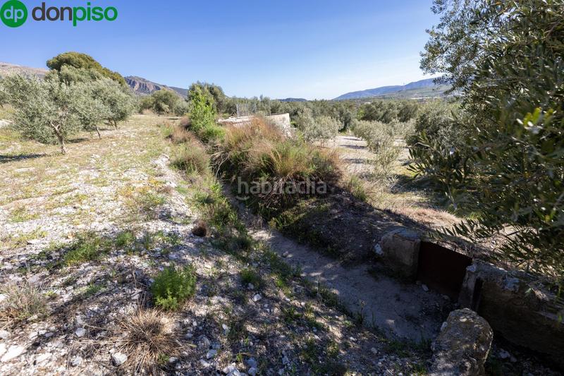 Foto b65f07fe-e136-4ab7-9e1b-ac80fe989e4e. Finca rústica a Dúrcal
