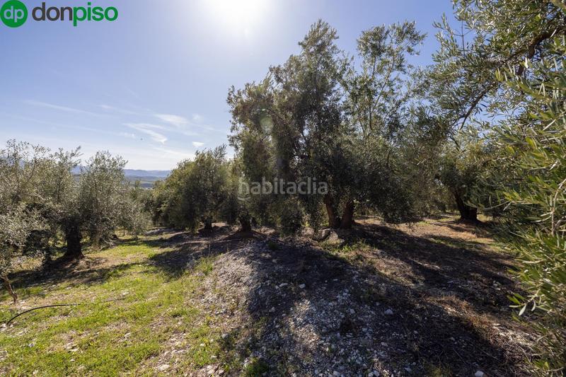 Foto b93f3949-f363-4cb1-b13d-312d909171d1. Finca rústica a Dúrcal