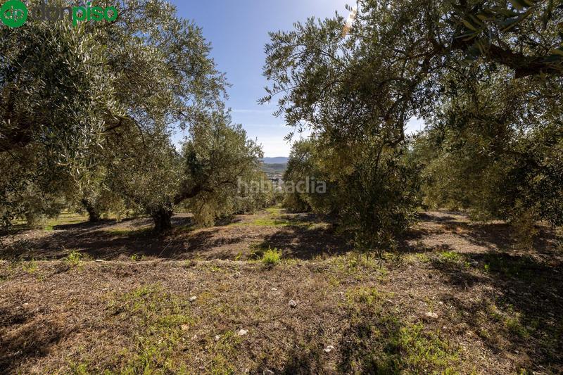 Foto e9f33560-1bcb-4659-8184-78e4d346cd93. Finca rústica a Dúrcal