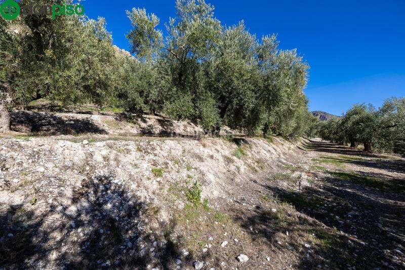 Foto f24ea0bb-3102-4a83-9ca0-500a1906b29e. Finca rústica a Dúrcal