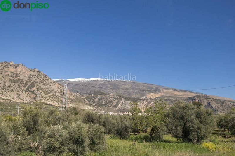 Foto fe97fdf2-36a8-4a6b-b8ef-6c1145134236. Finca rústica a Dúrcal