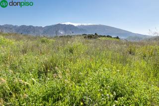 Finca rústica  Tesoro de villamena. Terreno vallado en conchar a precio de ocasión!