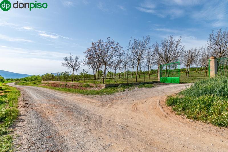 Foto 0b628325-af38-423e-9df4-9c5062856b46. Finca rústica  en venta con casa, nave y piscina en Padul