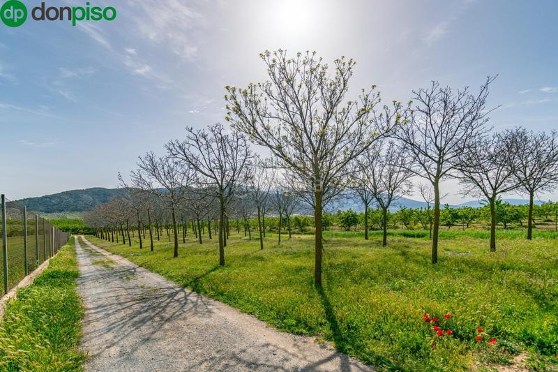 Foto 16f7ead3-be31-4a6e-b986-c1910a7b2309. Finca rústica  en venta con casa, nave y piscina en Padul
