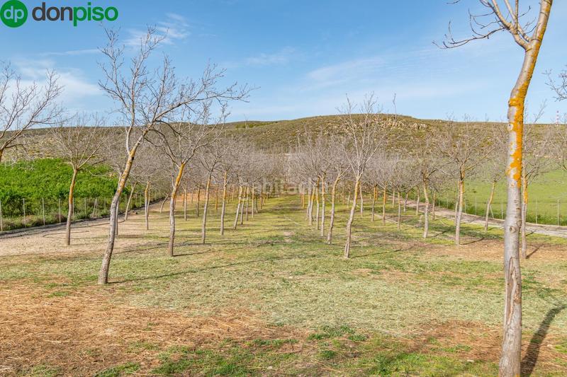 Foto 1ce29d14-f245-4281-823e-b0b860453dda. Finca rústica  en venta con casa, nave y piscina en Padul