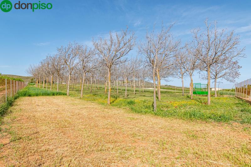 Foto 48f23f2d-c742-4591-bb15-7127a7395e9b. Finca rústica  en venta con casa, nave y piscina en Padul
