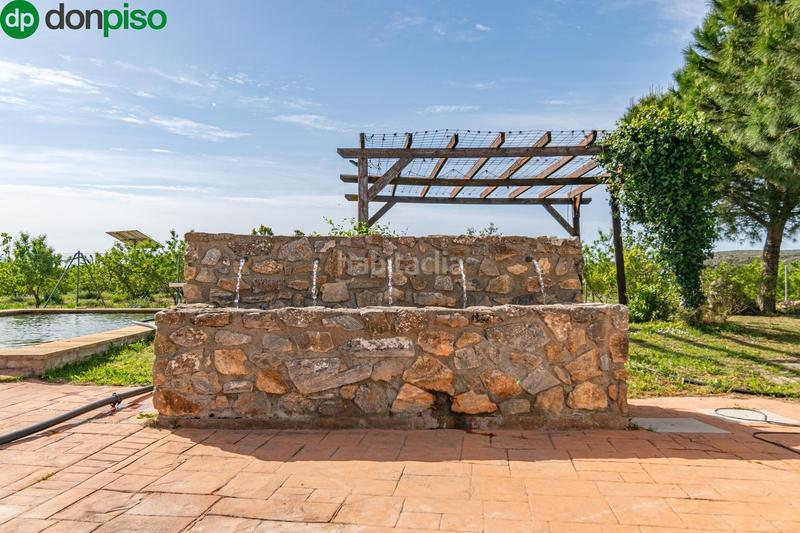 Foto 5268ec1c-b449-4176-8014-b3ecf8582ded. Finca rústica  en venta con casa, nave y piscina en Padul