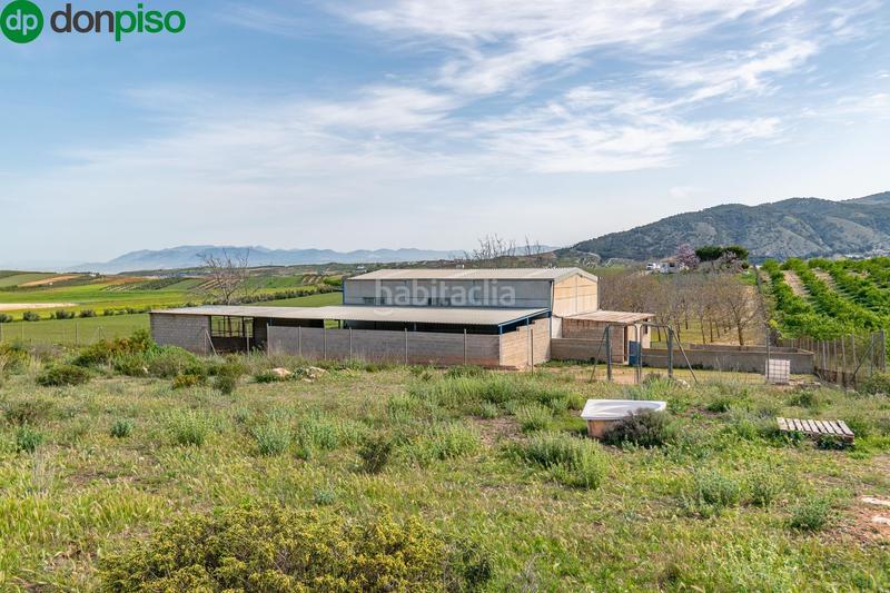 Foto 573d43d2-454c-4227-85d3-29de75b47095. Finca rústica  en venta con casa, nave y piscina en Padul