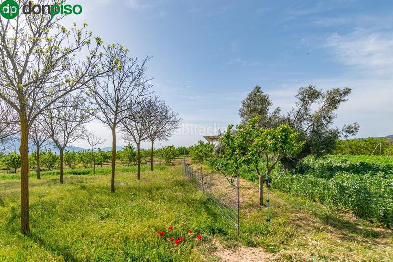 Foto 5bb1d1ed-b0ef-4f17-b327-7df34ee21790. Finca rústica  en venta con casa, nave y piscina en Padul