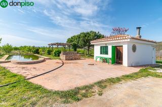 Finca rústica  Pago de las manguetas. Finca rústica en venta con casa, nave y piscina