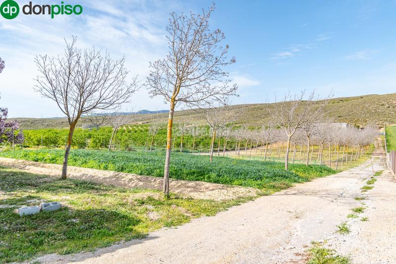 Foto 62d43dc1-6365-4cf7-9dc1-c7e1e4f70d0d. Finca rústica  en venta con casa, nave y piscina en Padul