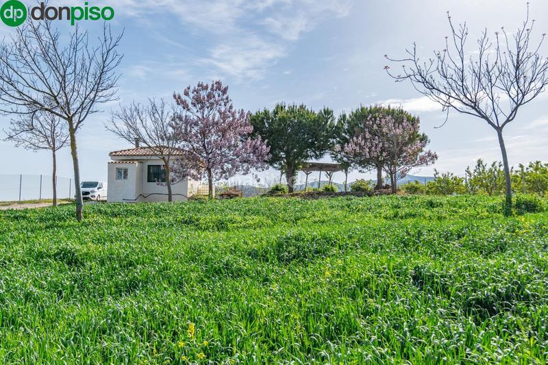 Foto 6a1791c2-a714-41d0-a82d-de7b53407fd7. Finca rústica  en venta con casa, nave y piscina en Padul