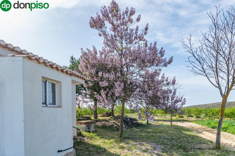 Foto 6d1345ef-6427-485d-991f-b0a69262daf6. Finca rústica  en venta con casa, nave y piscina en Padul