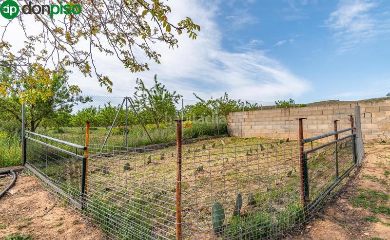 Foto 728a743f-3333-47ca-83bc-1fae9120e154. Finca rústica  en venta con casa, nave y piscina en Padul