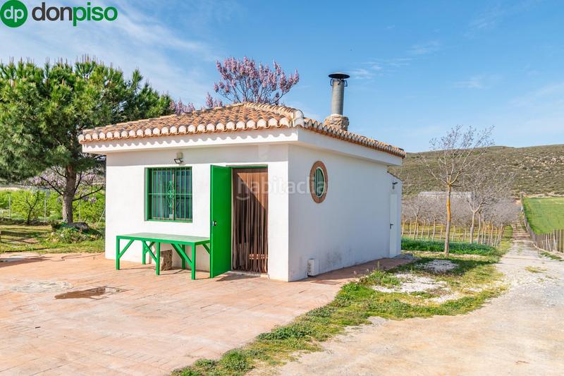 Foto 821af827-732f-4f05-a863-9536690e8829. Finca rústica  en venta con casa, nave y piscina en Padul