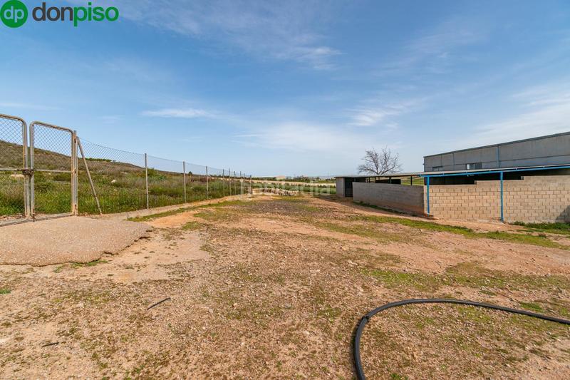 Foto 89efa398-de34-46b1-a4fe-8a0dd2f2fdfa. Finca rústica  en venta con casa, nave y piscina en Padul