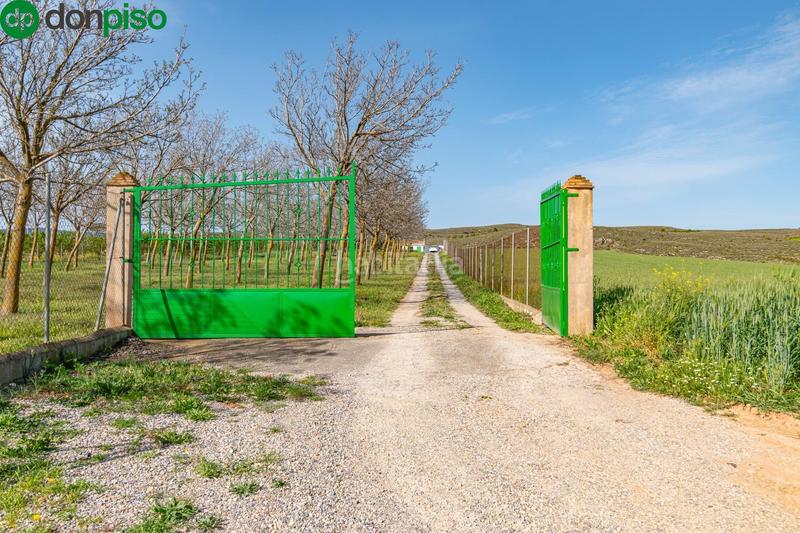 Foto a5b877e8-40f4-47b7-83d1-e302d166258b. Finca rústica  en venta con casa, nave y piscina en Padul