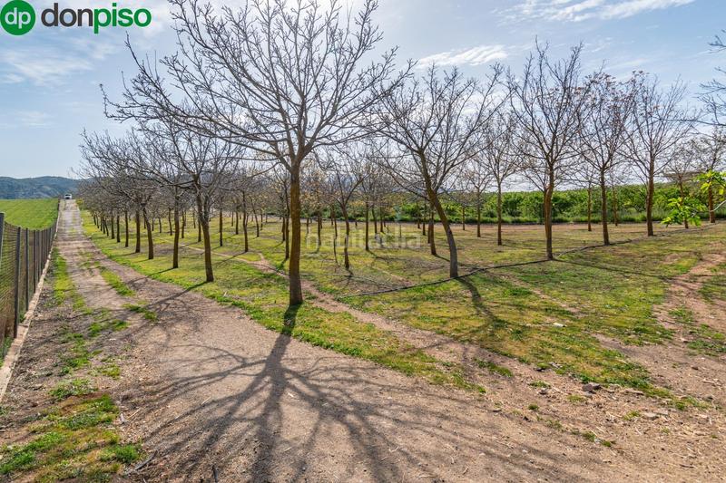 Foto ae4b1531-3e17-4bfa-b83f-d3d1f92242fd. Finca rústica  en venta con casa, nave y piscina en Padul