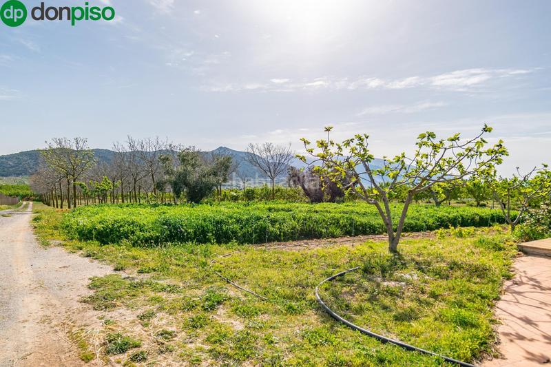 Foto b2dcef6d-c22c-4666-81d9-24f02b360aa3. Finca rústica  en venta con casa, nave y piscina en Padul
