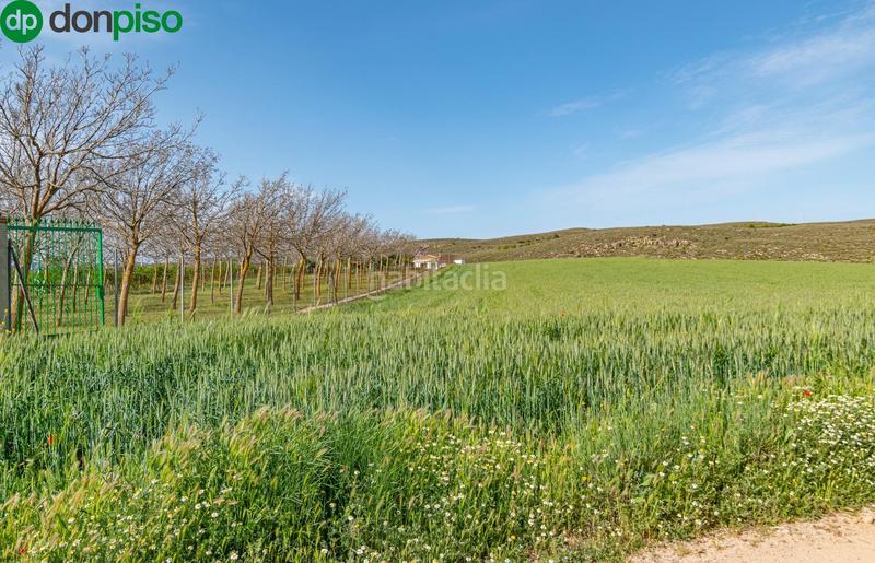 Foto c1cf0754-830a-4635-91c5-532277a2236e. Finca rústica  en venta con casa, nave y piscina en Padul