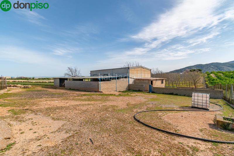Foto cc163921-1a68-4d8d-a5f2-f246f8491054. Finca rústica  en venta con casa, nave y piscina en Padul
