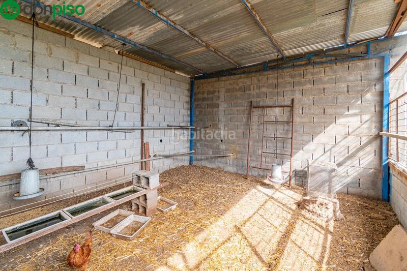 Foto d6ec5db7-fbbb-4e4e-81d7-c62c4b8a7fed. Finca rústica  en venta con casa, nave y piscina en Padul