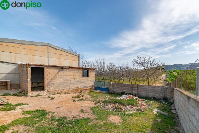 Foto dbf46482-613d-43ac-b80e-3985d0180233. Finca rústica  en venta con casa, nave y piscina en Padul