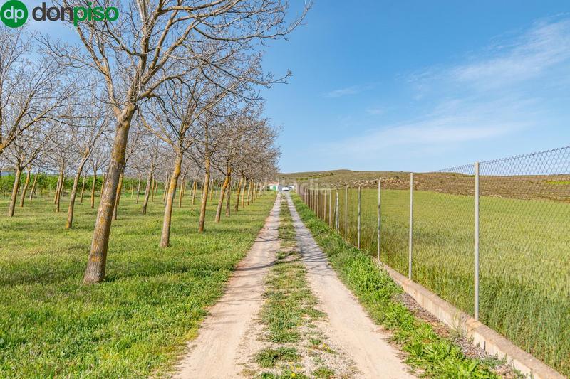 Foto de9244f8-0683-4ab5-84ed-db77ed99a2a4. Finca rústica  en venta con casa, nave y piscina en Padul