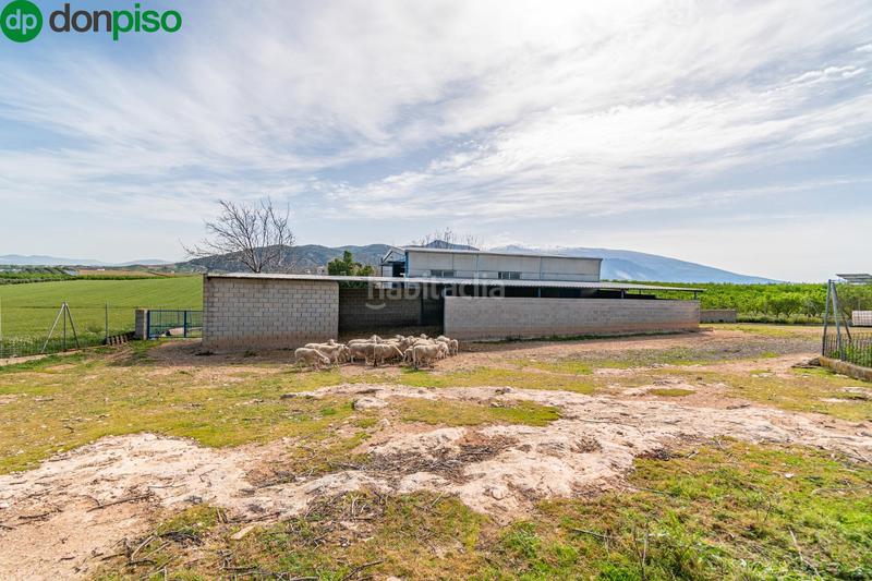 Foto ee7d2dfc-cc54-4329-b9a2-7792c9869b2a. Finca rústica  en venta con casa, nave y piscina en Padul