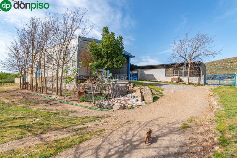 Foto fa9cfc3e-08fb-4826-85fd-4763d8c7f98b. Finca rústica  en venta con casa, nave y piscina en Padul