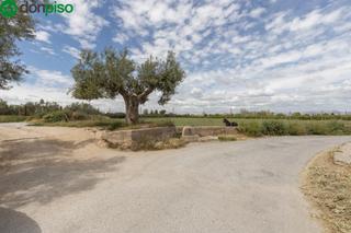 Finca rústica a Plaza polígono industrial 1. Oportunidad única en la zubia! terreno rústico con vistas espect