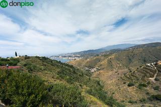 Masia a Calle paraje el tinto-pol 1-par 85 85. Venta de casa con terreno de cultivo de árboles frutales ítrabo