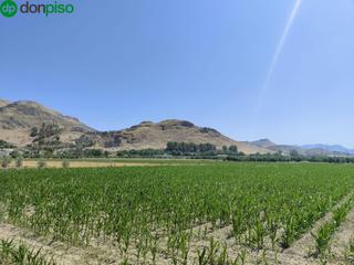 Propriété à Carretera carretera de pinos puente. Parcela rústica de cultivo en atarfe  vega de granada 22.000 m